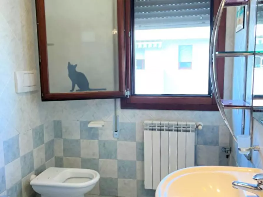 Immagine 4 di Appartamento in vendita  in Via Z.A. I Strada a Campolongo Maggiore