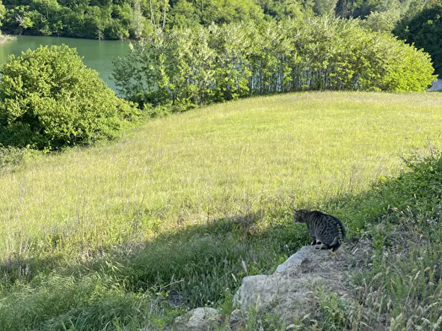 Immagine 21 di Casa indipendente in vendita  in via niella tanaro 5 a Briaglia