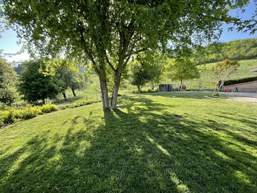 Immagine 22 di Casa indipendente in vendita  in via niella tanaro 5 a Briaglia