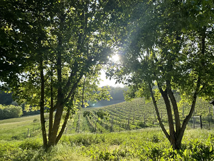 Immagine 25 di Casa indipendente in vendita  in via niella tanaro 5 a Briaglia