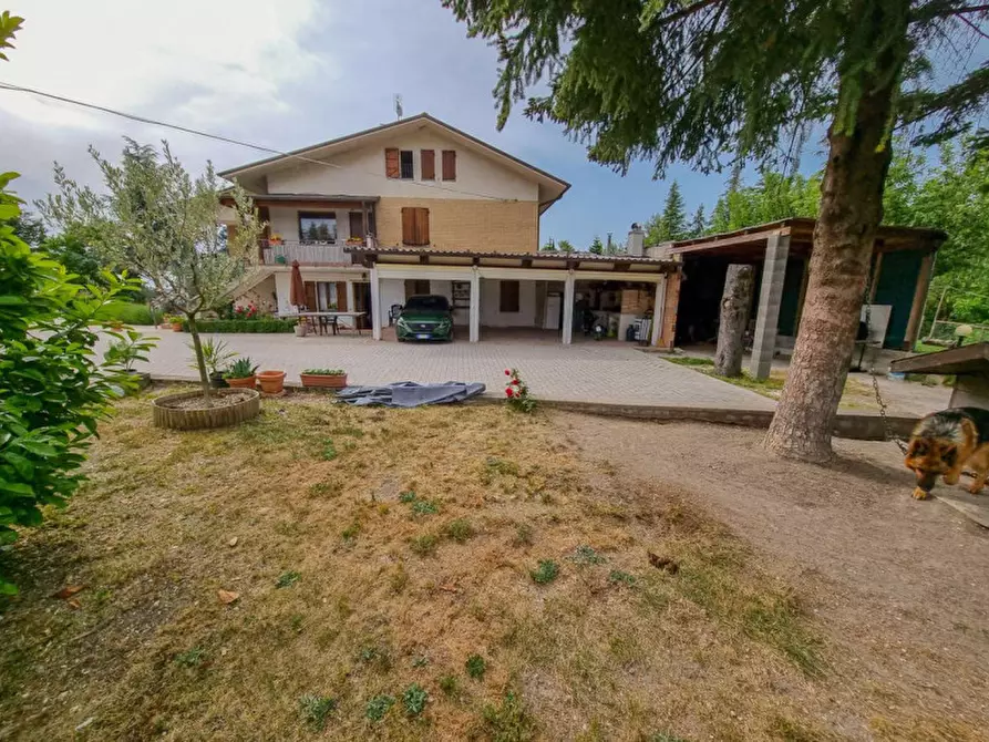 Immagine 8 di Casa trifamiliare in vendita  in strada provinciale delle Cesane 109 a Urbino