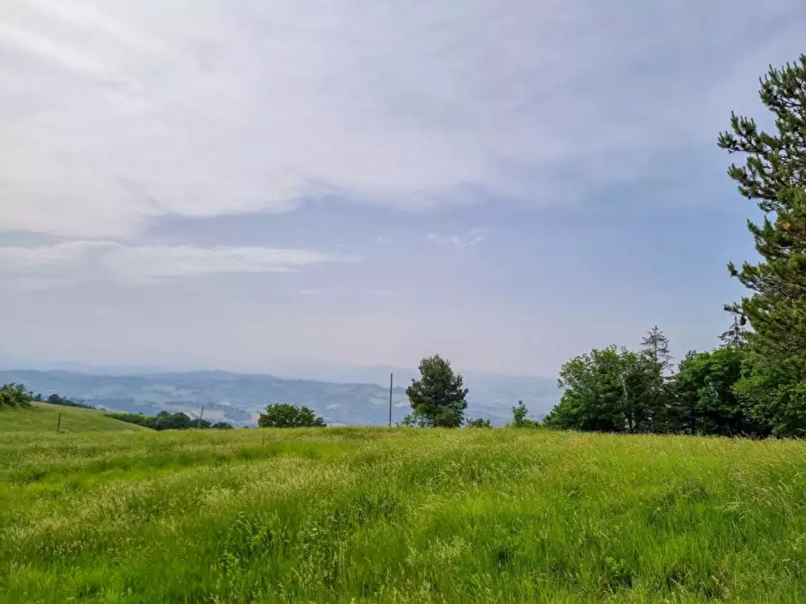 Immagine 13 di Casa trifamiliare in vendita  in strada provinciale delle Cesane 109 a Urbino