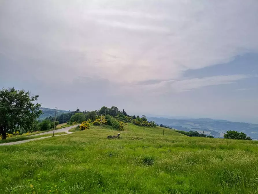 Immagine 14 di Casa trifamiliare in vendita  in strada provinciale delle Cesane 109 a Urbino