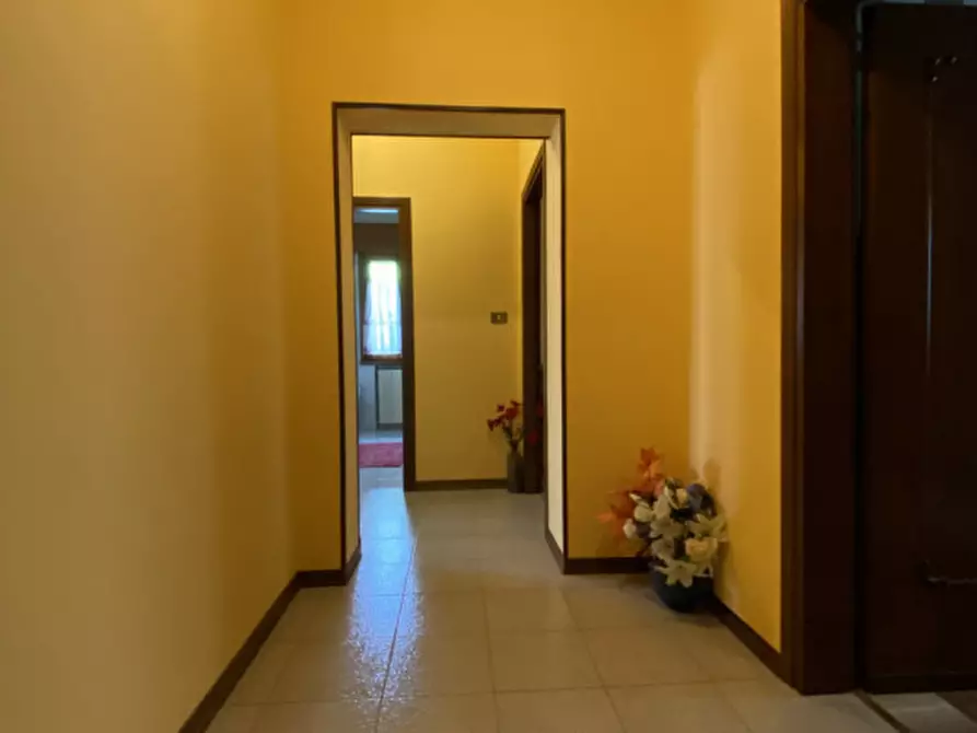 Immagine 21 di Casa indipendente in vendita  in via Ugo Foscolo a Vo