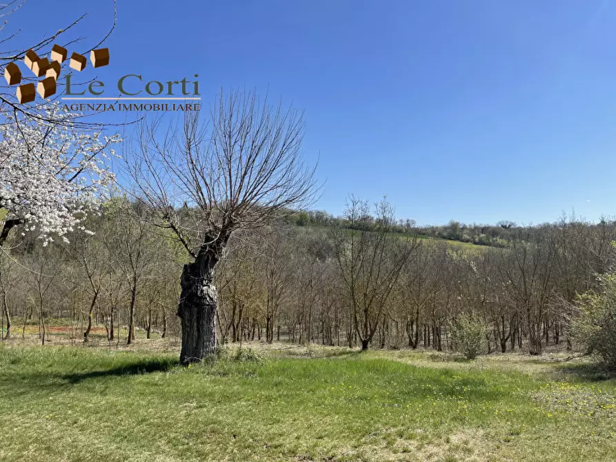 casa indipendente in vendita ad Alonte