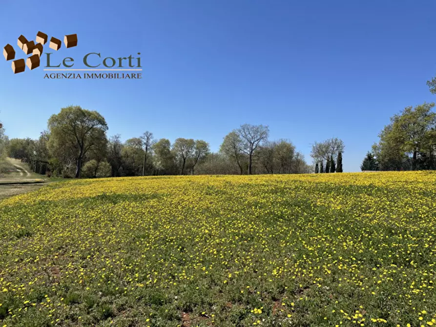 Immagine 2 di Rustico / casale in vendita  a Alonte