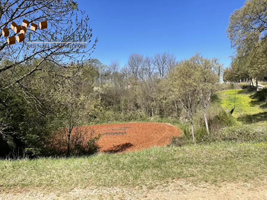 Immagine 7 di Rustico / casale in vendita  a Alonte