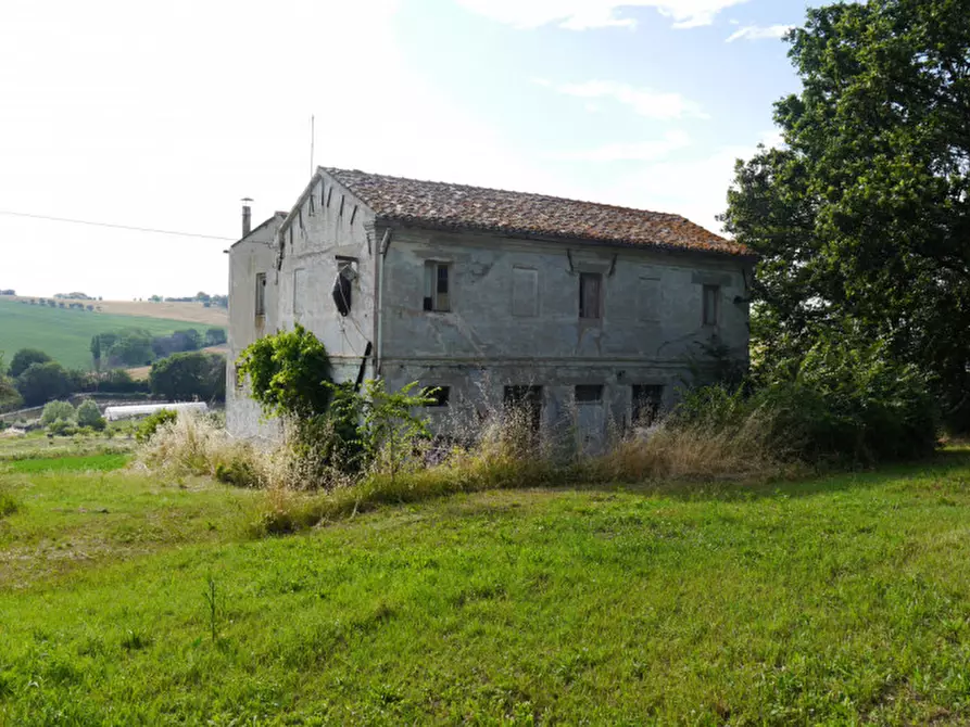 Immagine 2 di Rustico / casale in vendita  a Senigallia