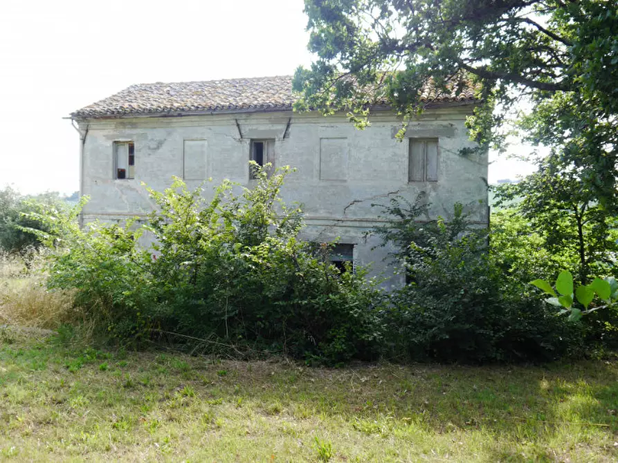 Immagine 3 di Rustico / casale in vendita  a Senigallia