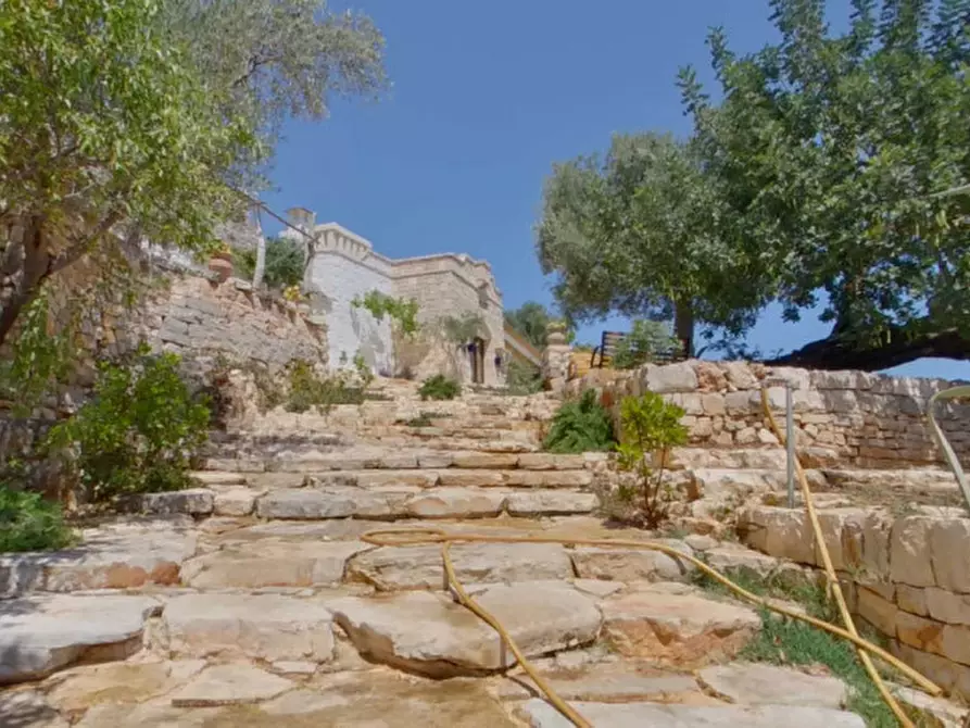 Immagine 32 di Rustico / casale in vendita  a Fasano