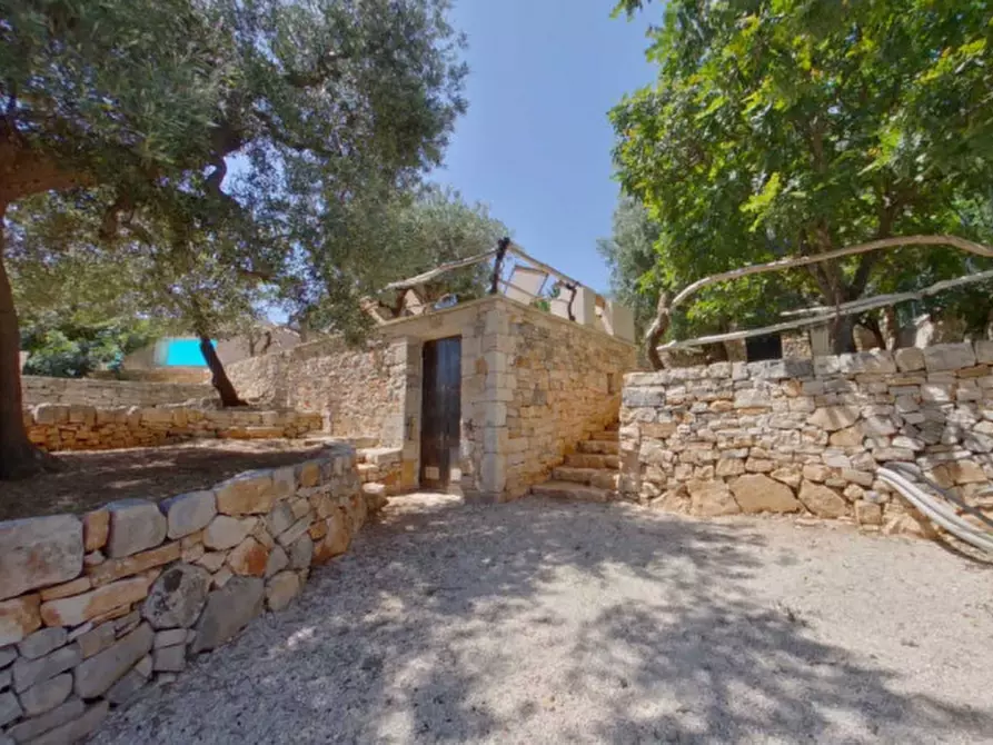Immagine 50 di Rustico / casale in vendita  a Fasano