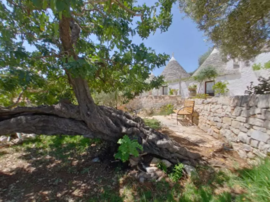 Immagine 59 di Rustico / casale in vendita  a Fasano