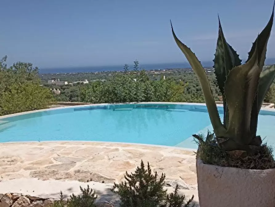 Immagine 65 di Rustico / casale in vendita  a Fasano