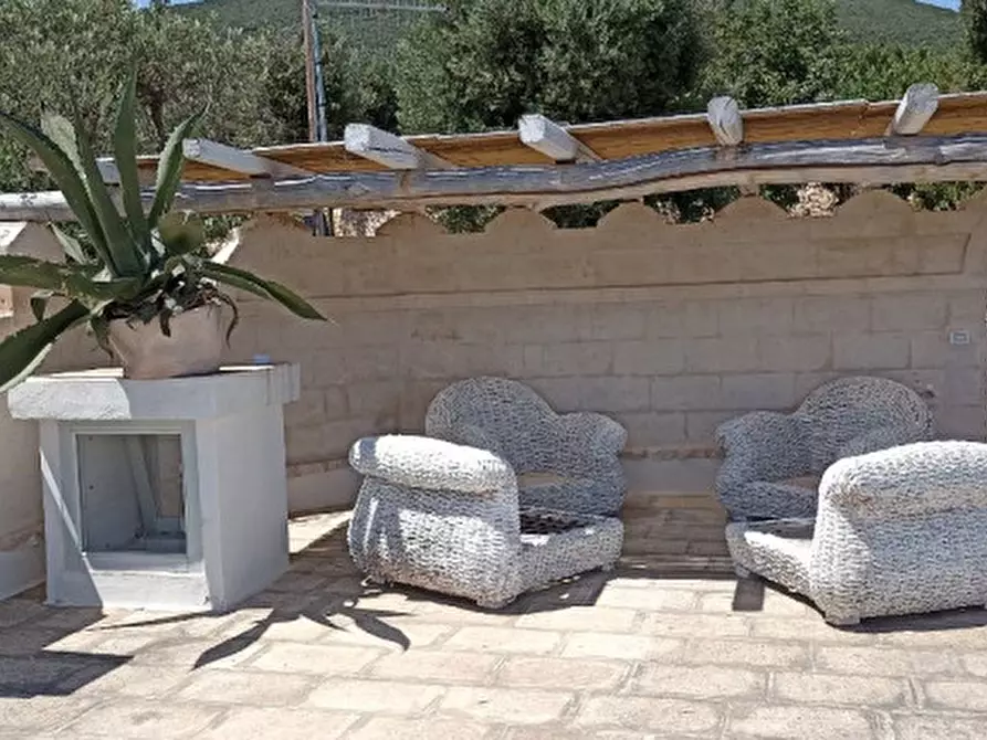 Immagine 66 di Rustico / casale in vendita  a Fasano
