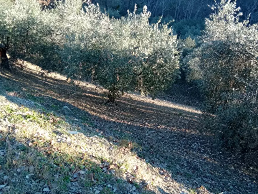 Immagine 4 di Terreno in vendita  in via Vallone a Lucito