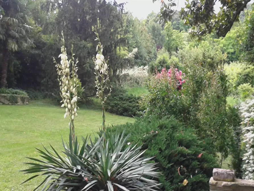 Immagine 4 di Villa in vendita  in Longare a Longare