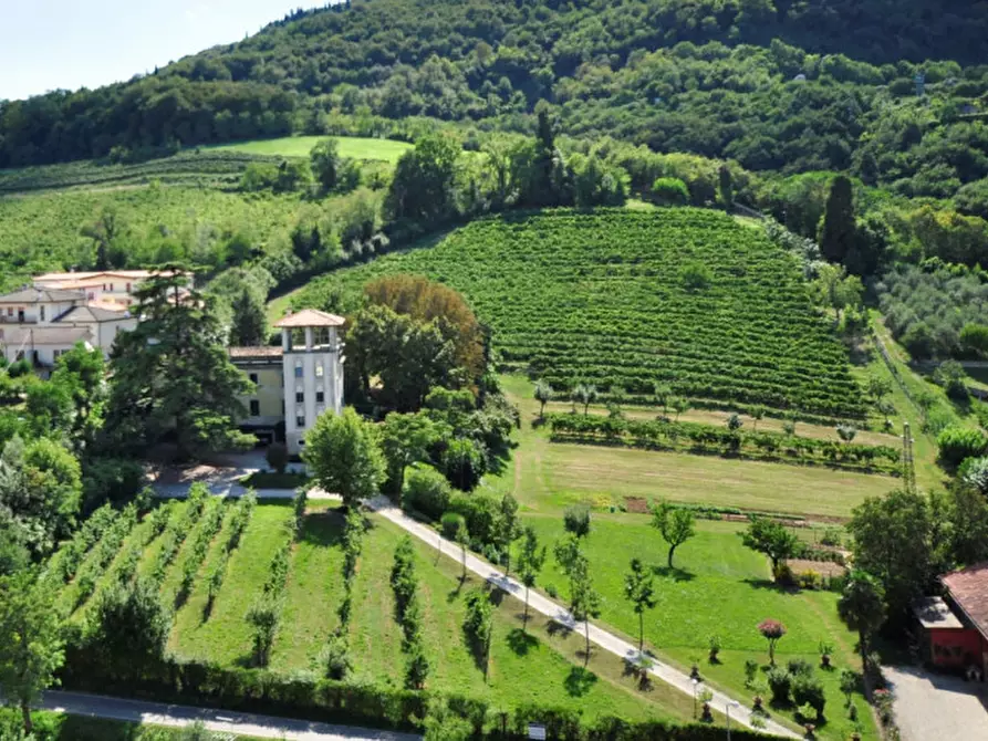 Immagine 9 di Villa in vendita  in Longare a Longare