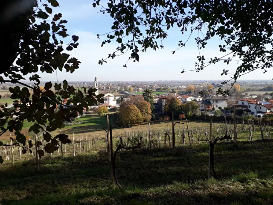 Immagine 21 di Villa in vendita  in Longare a Longare