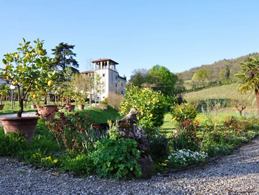 Immagine 22 di Villa in vendita  in Longare a Longare