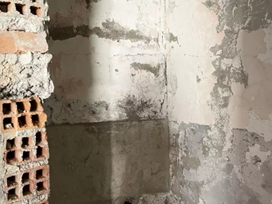 Immagine 24 di Villa in vendita  in Loc. Breila a Tornolo