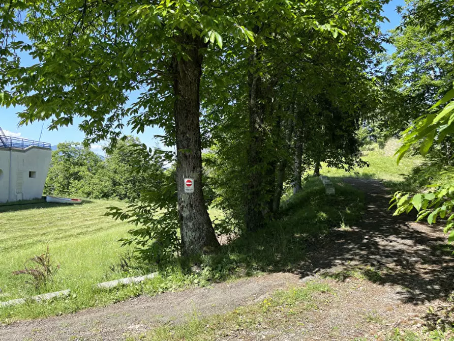 Immagine 31 di Villa in vendita  in Loc. Breila a Tornolo