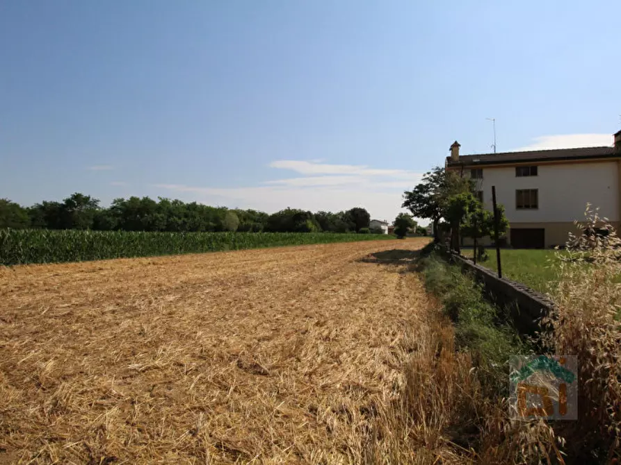 Immagine 21 di Terreno in vendita  in Strada Militare a Palmanova