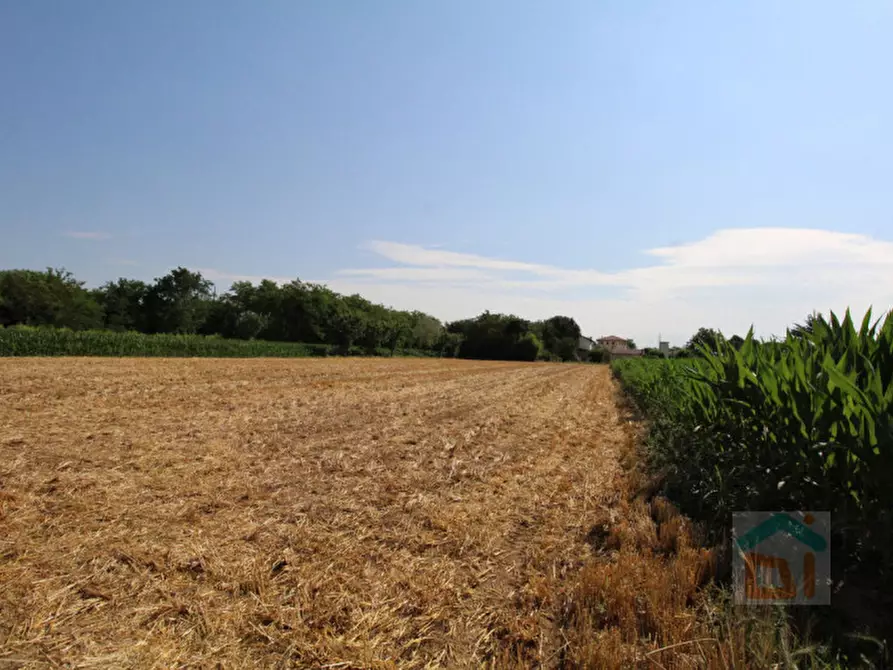 Immagine 14 di Terreno in vendita  in Strada Militare a Palmanova