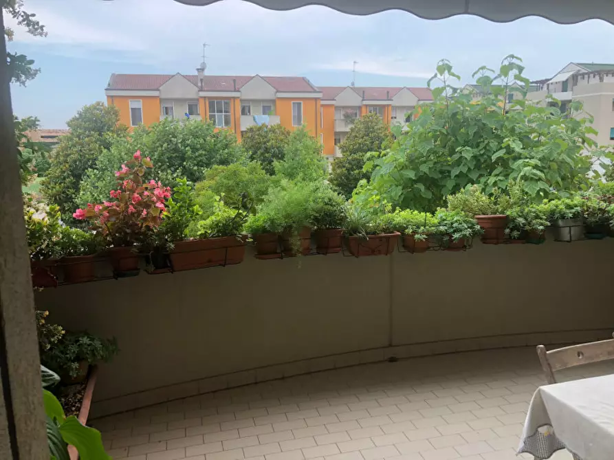 Immagine 4 di Appartamento in vendita  a Brugine