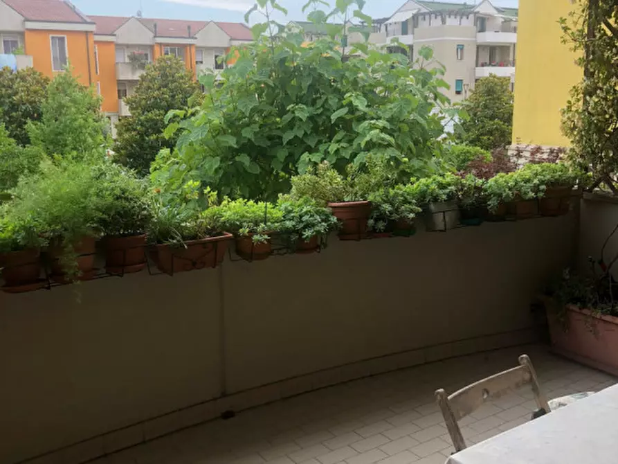 Immagine 12 di Appartamento in vendita  a Brugine