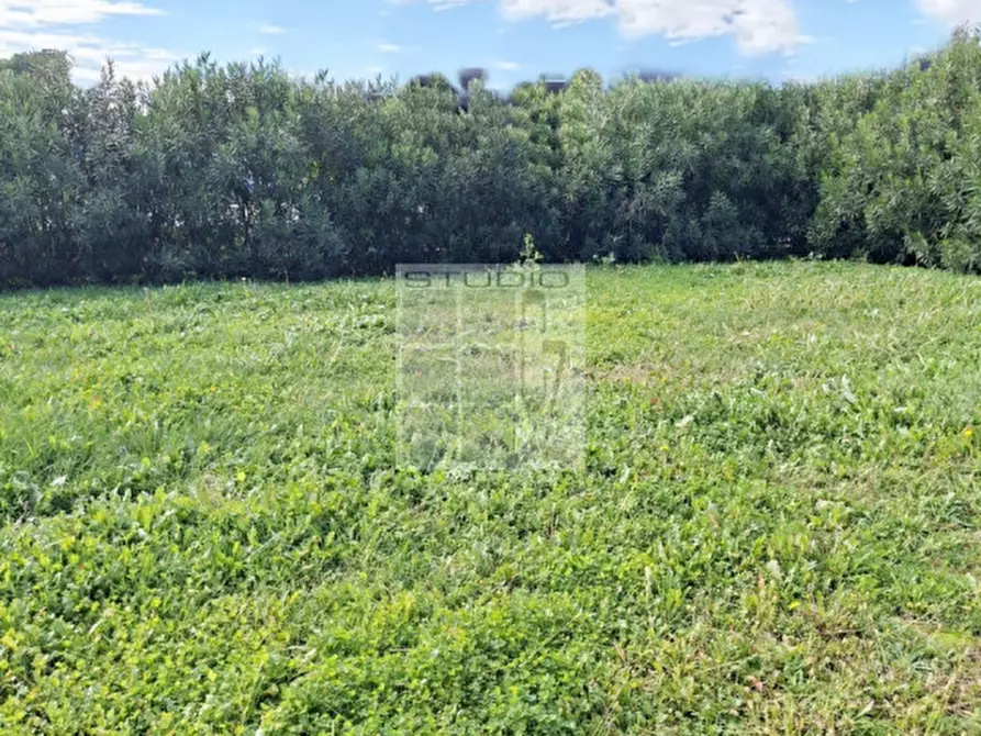 Immagine 15 di Casa indipendente in vendita  in via Palladio a Loreggia