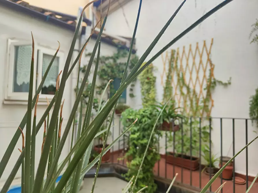 Immagine 38 di Appartamento in vendita  in Via belle arti 7 a Bologna
