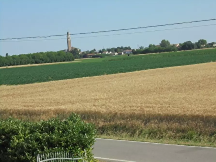 Immagine 1 di Casa indipendente in vendita  a Ceneselli