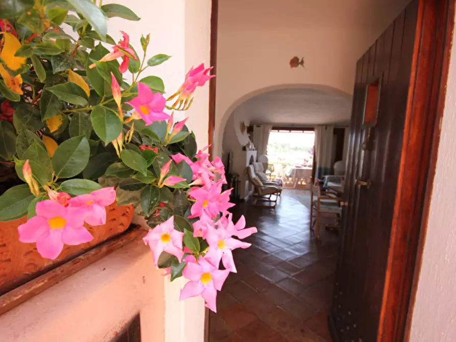 Immagine 19 di Appartamento in affitto  in via stella maris a Arzachena