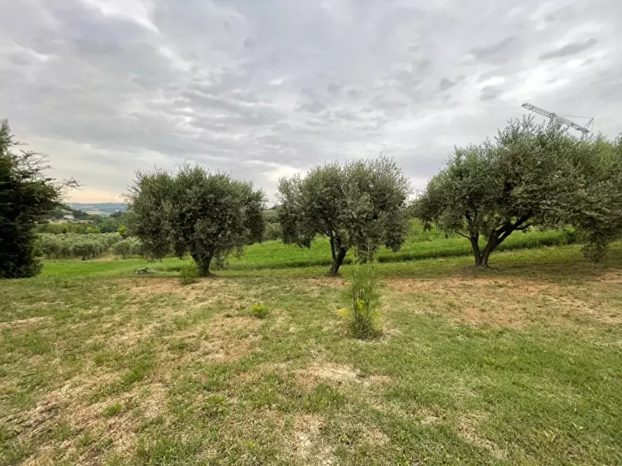 Immagine 23 di Casa indipendente in vendita  in strada del giardino a Senigallia