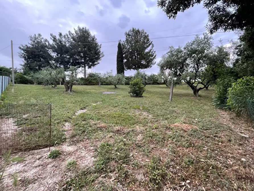 Immagine 25 di Casa indipendente in vendita  in strada del giardino a Senigallia