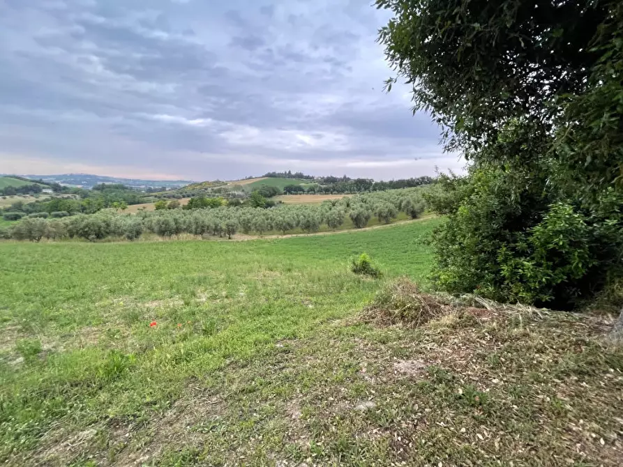 Immagine 27 di Casa indipendente in vendita  in strada del giardino a Senigallia