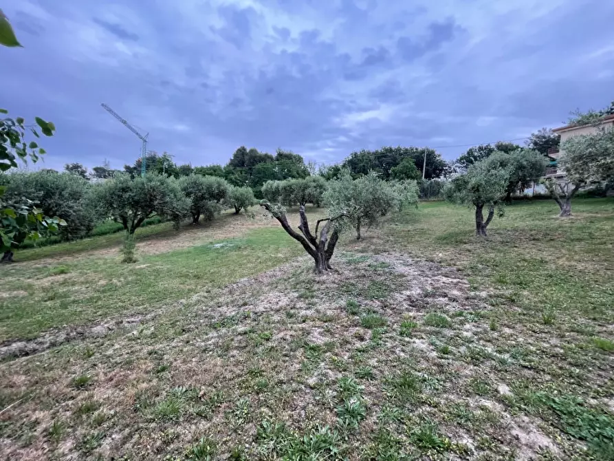 Immagine 28 di Casa indipendente in vendita  in strada del giardino a Senigallia