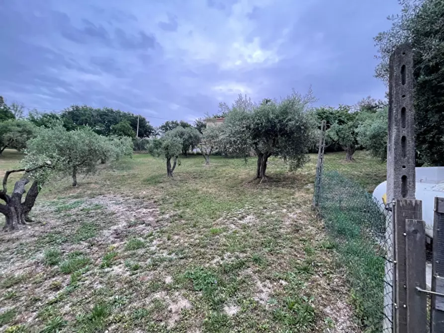 Immagine 29 di Casa indipendente in vendita  in strada del giardino a Senigallia