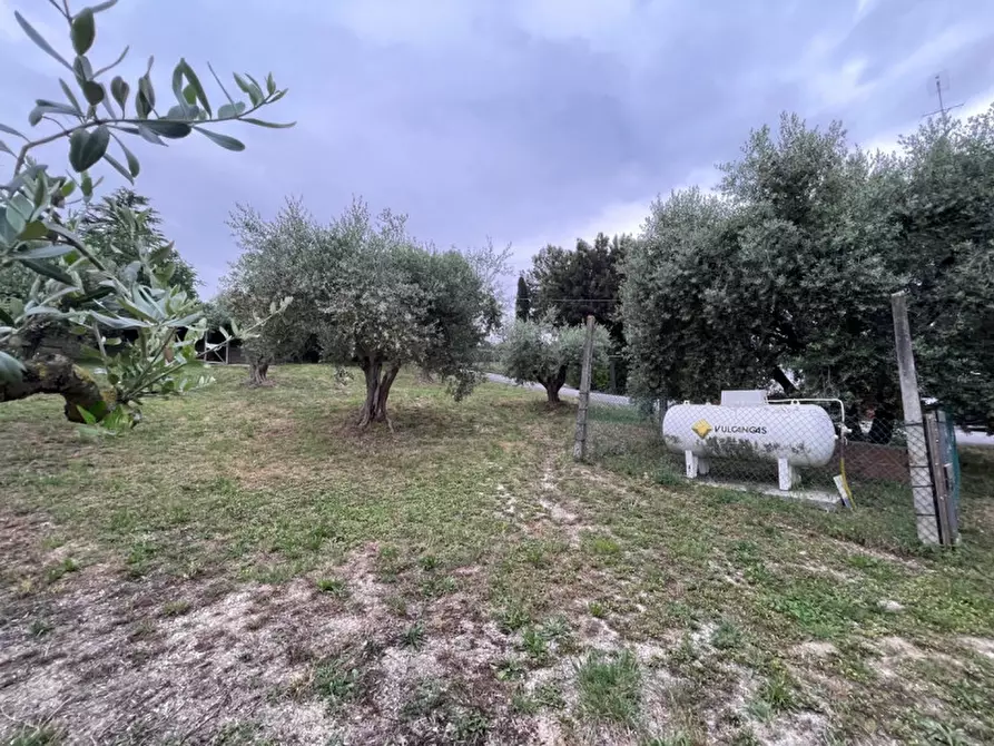 Immagine 30 di Casa indipendente in vendita  in strada del giardino a Senigallia