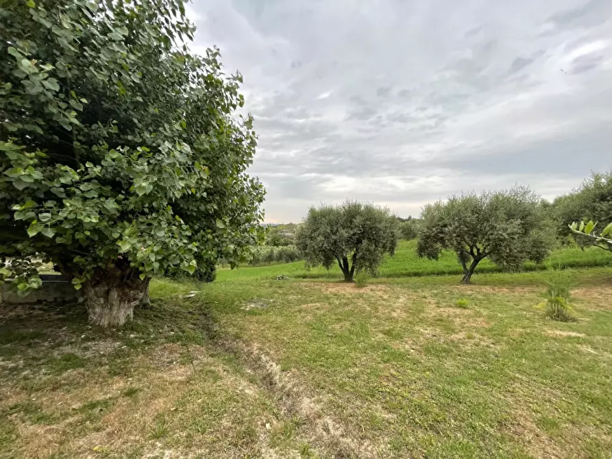 Immagine 31 di Casa indipendente in vendita  in strada del giardino a Senigallia