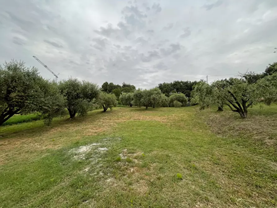 Immagine 32 di Casa indipendente in vendita  in strada del giardino a Senigallia