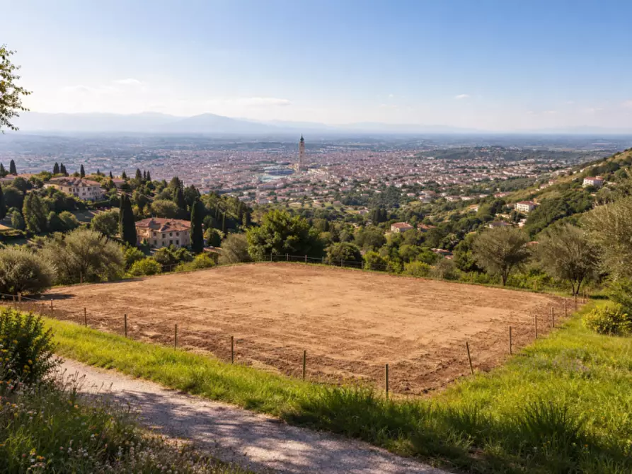 Immagine 2 di Terreno in vendita  in via False a Monteviale