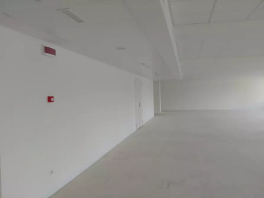 Immagine 18 di Ufficio in affitto  in VIA OLGIA a Segrate