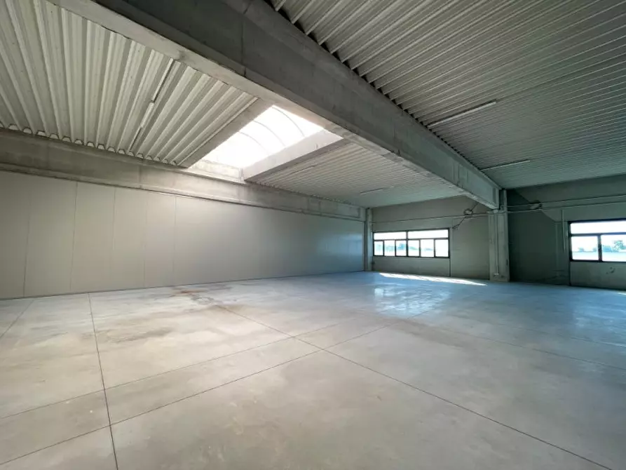 Immagine 5 di Capannone industriale in affitto  a Montebelluna