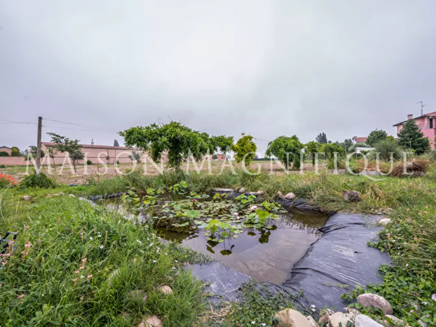 Immagine 20 di Rustico / casale in vendita  in Via Buttrifredo a Ferrara