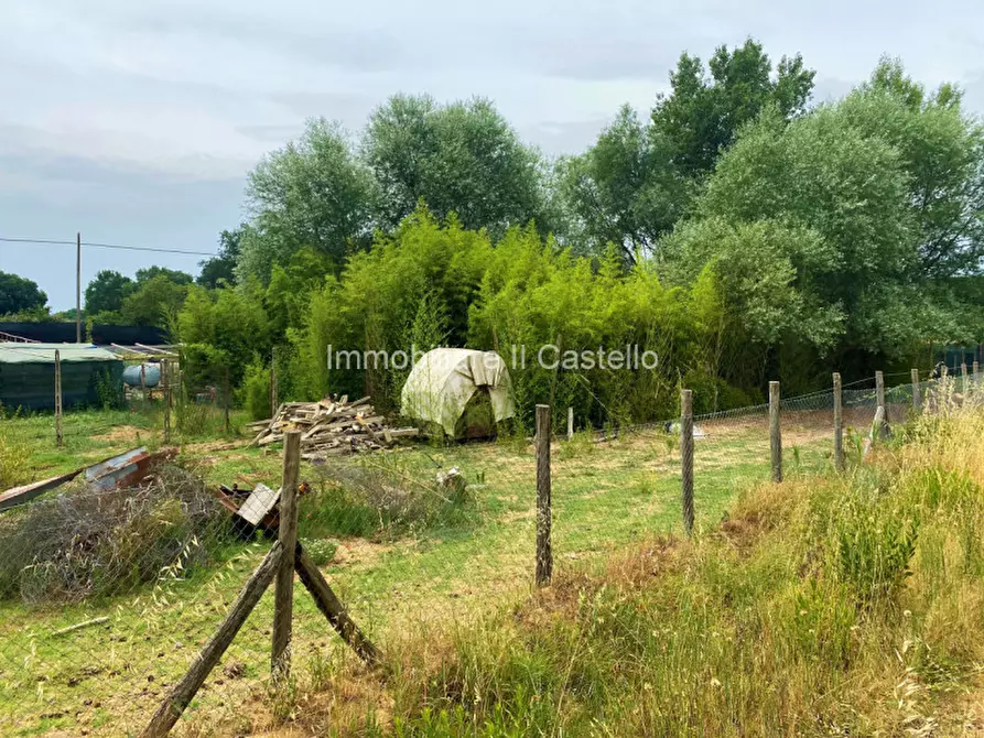 Immagine 2 di Terreno in vendita  a Castiglione Del Lago
