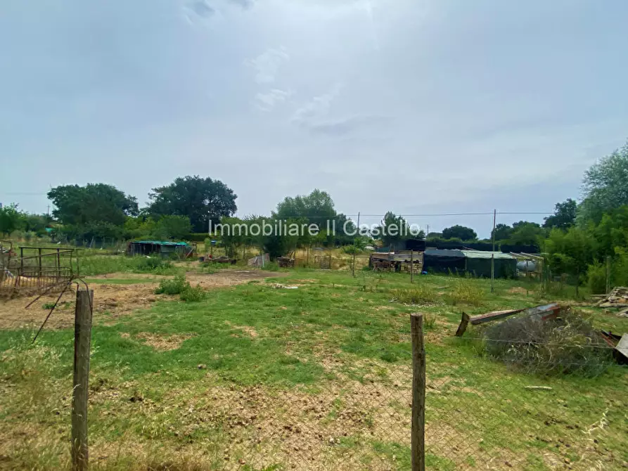 Immagine 3 di Terreno in vendita  a Castiglione Del Lago