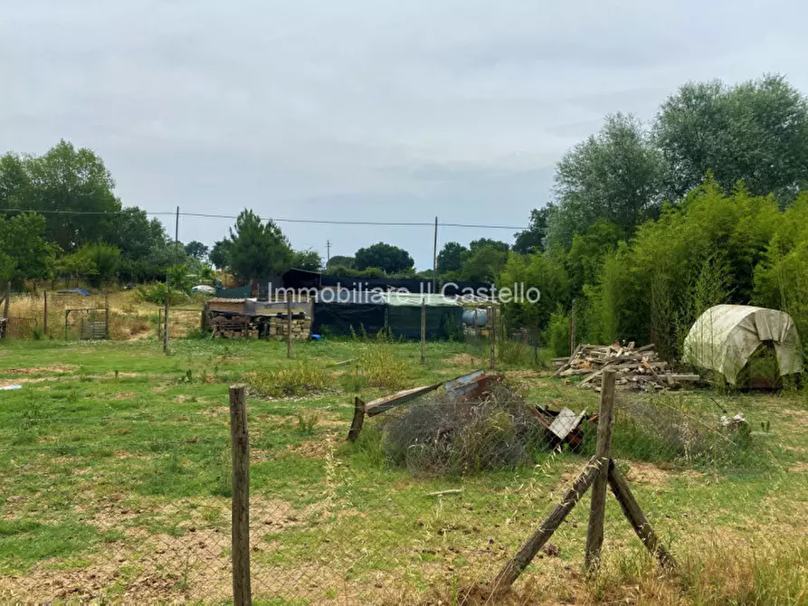 Immagine 4 di Terreno in vendita  a Castiglione Del Lago