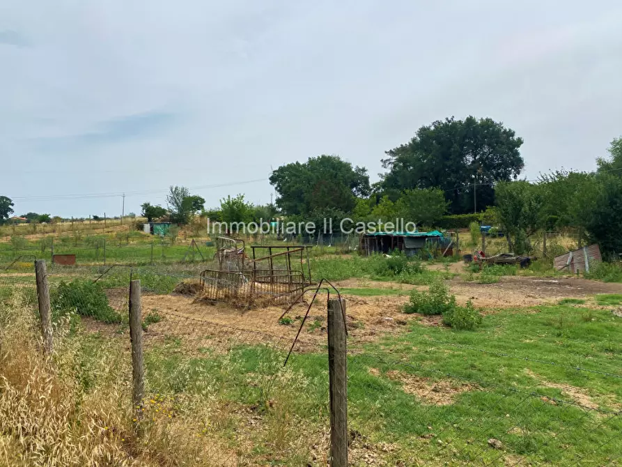 Immagine 5 di Terreno in vendita  a Castiglione Del Lago