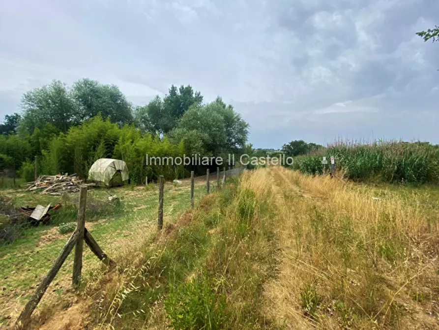 Immagine 9 di Terreno in vendita  a Castiglione Del Lago